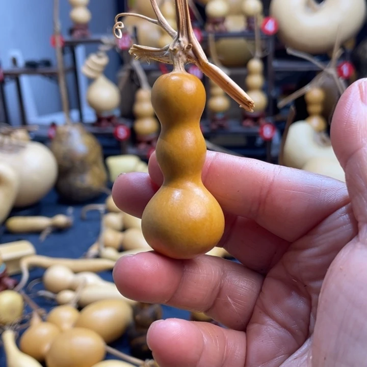 辣***奇葫芦河流域是我国最大河流之一的一个支流