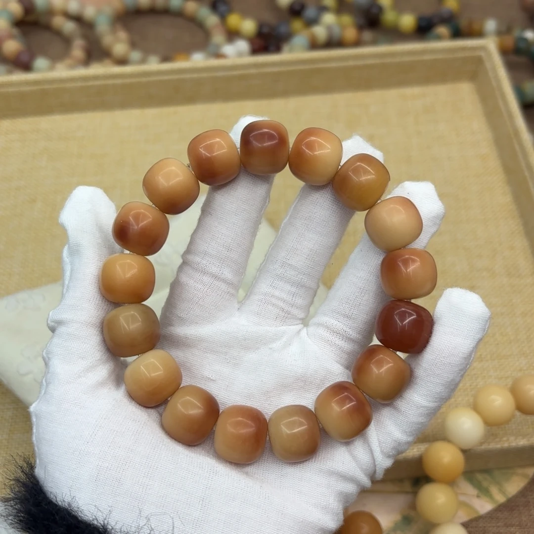 吊坠菩提根/象牙果16干磨瑕疵落地果252