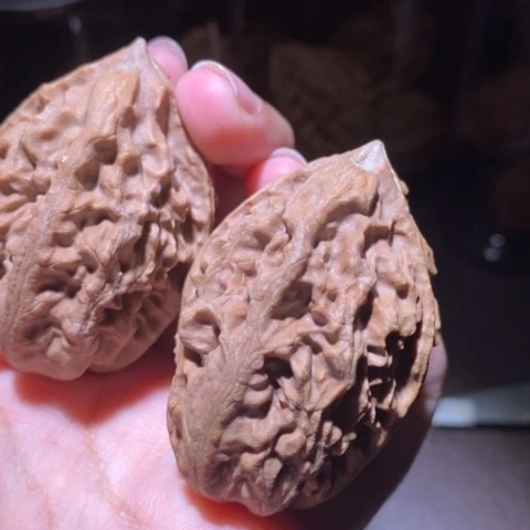 把件文玩核桃东北野生楸子小园 111