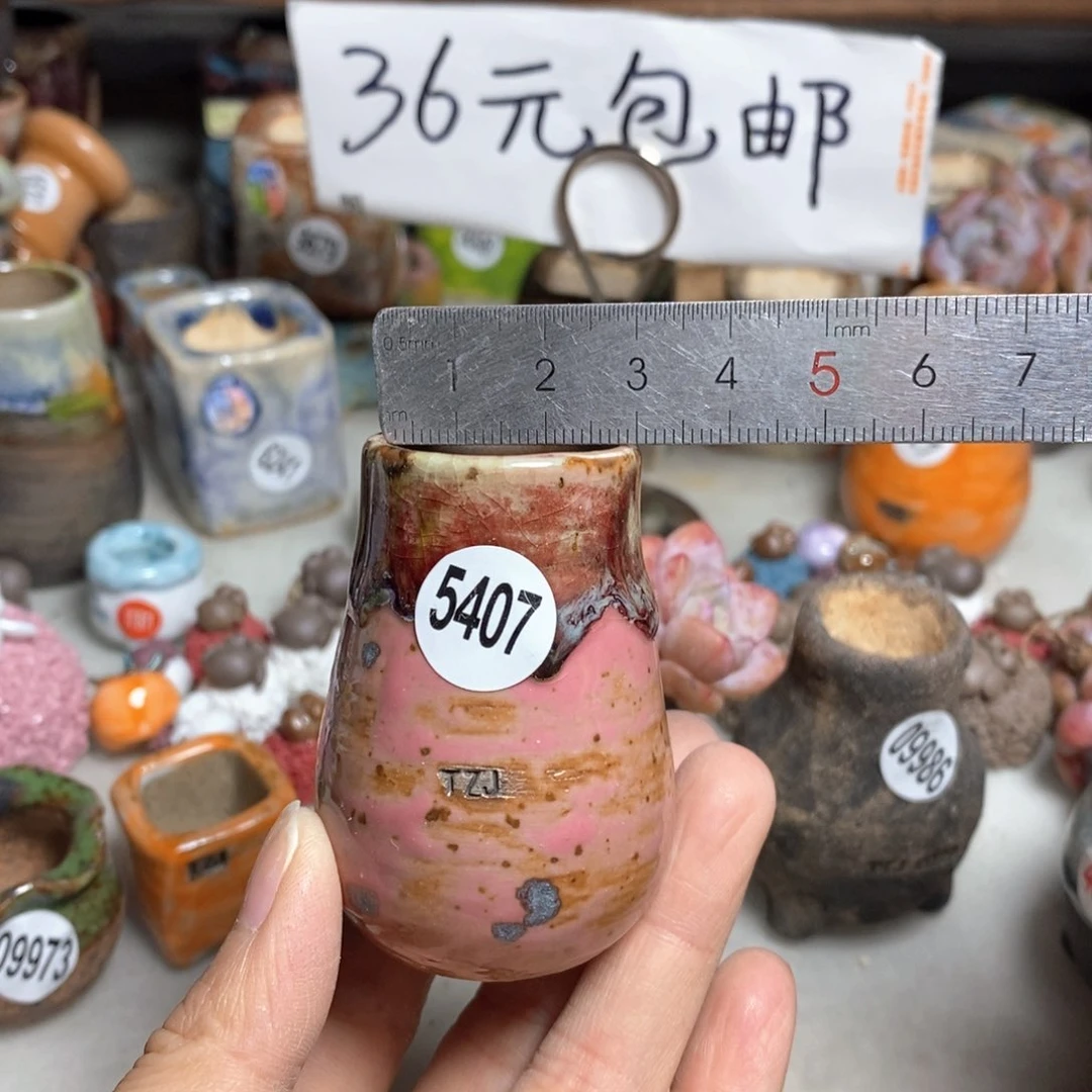 拍5送一个小礼物