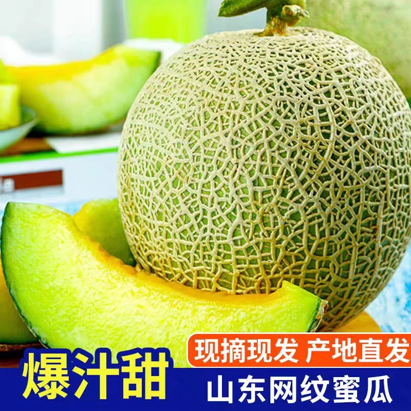 【果然好】正宗山东网纹蜜瓜玫珑甜瓜当季新鲜水果整箱G哈密瓜