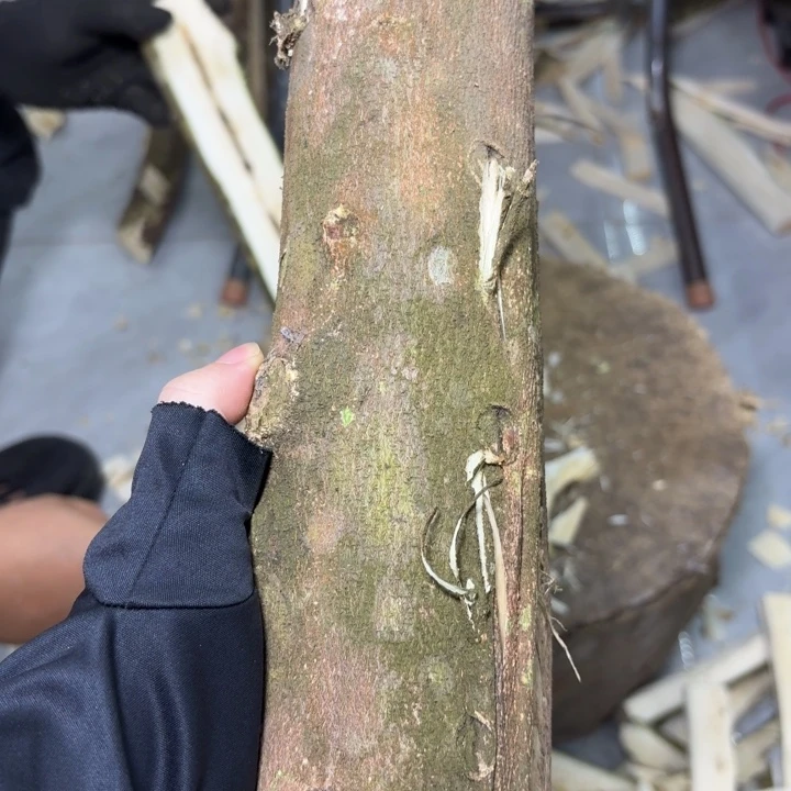 木陆河原木发一份