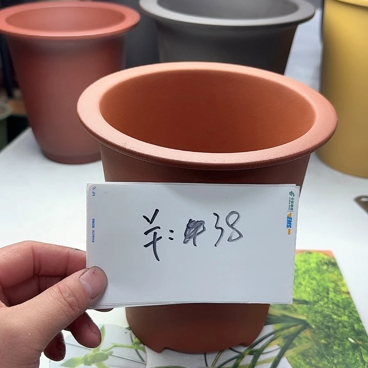 紫砂2222222222222223322222