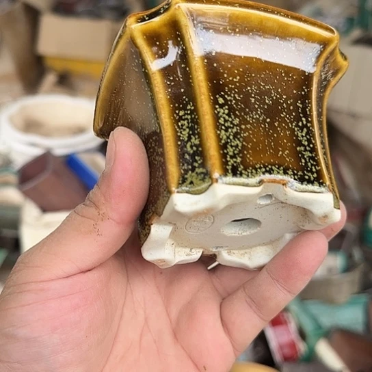 是因为她太喜欢了所以还是觉得不