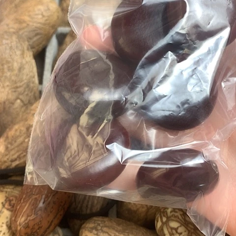 椰蒂吊坠平安豆菩提