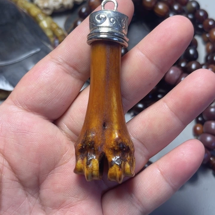 大果紫檀（缅甸花梨）