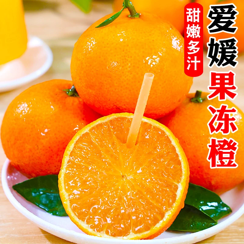 【嫩如果冻】正宗爱媛38号果冻橙5/9斤现摘现发皮薄肉嫩爆汁鲜甜