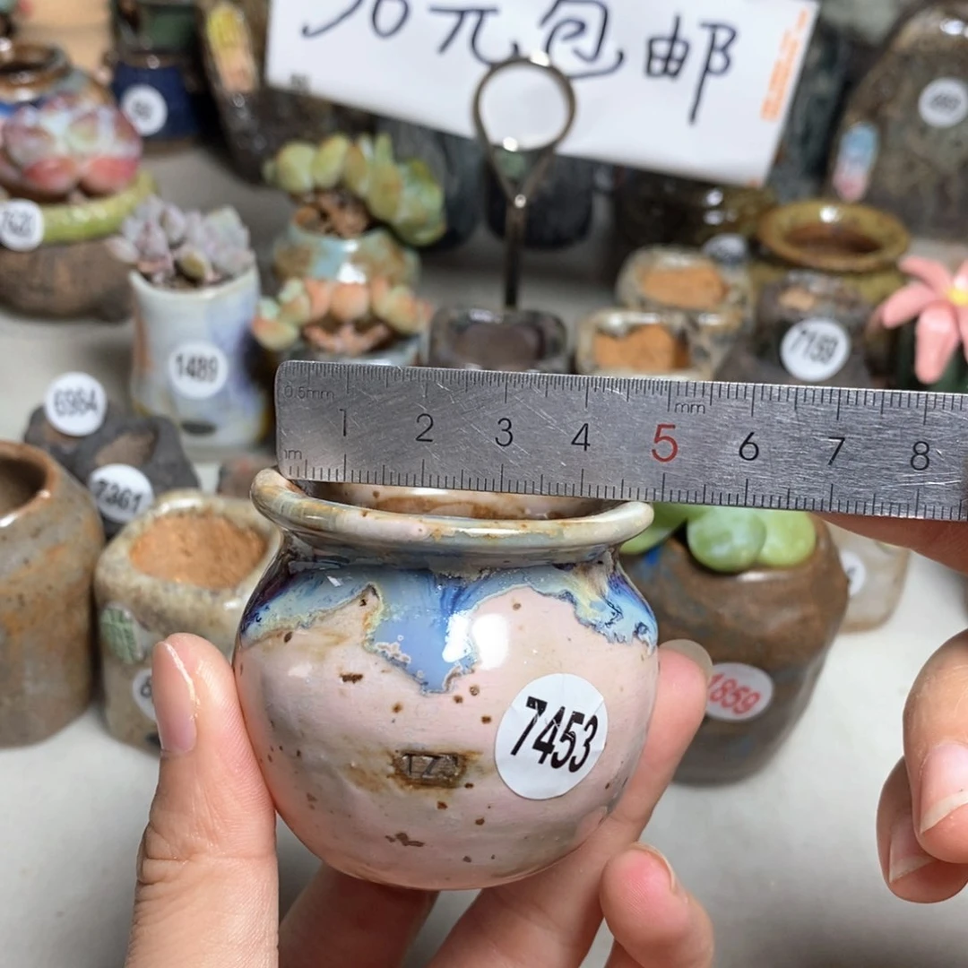 拍5送一个小礼物