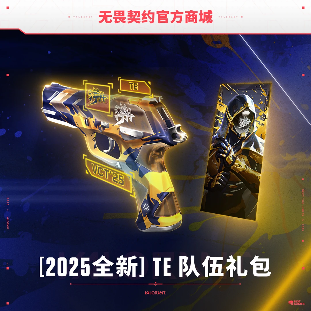 【2025全新】TE 队伍礼包 无畏契约道具