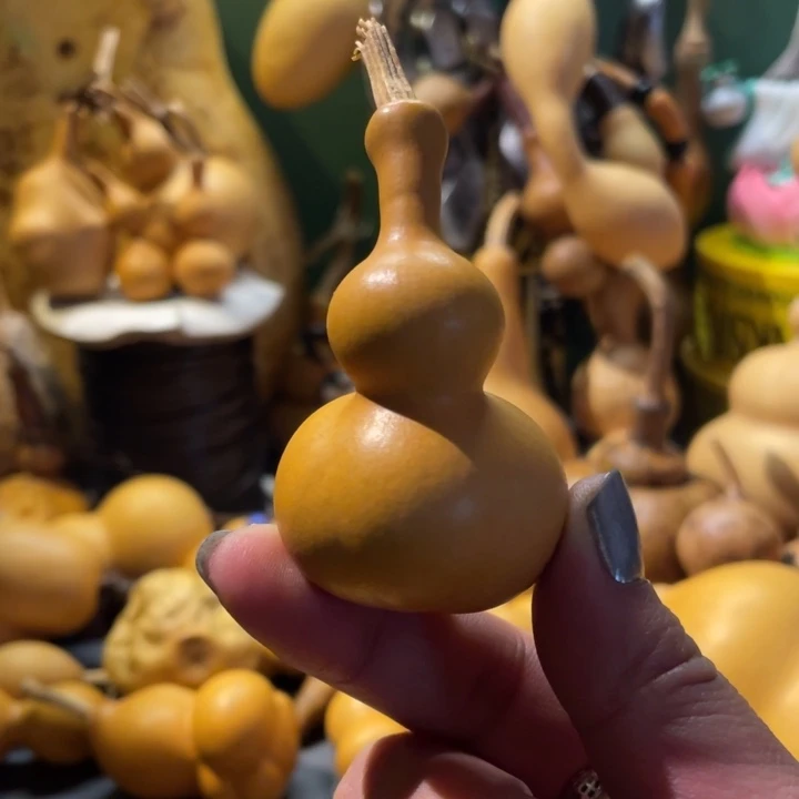 看好下单不保龙头