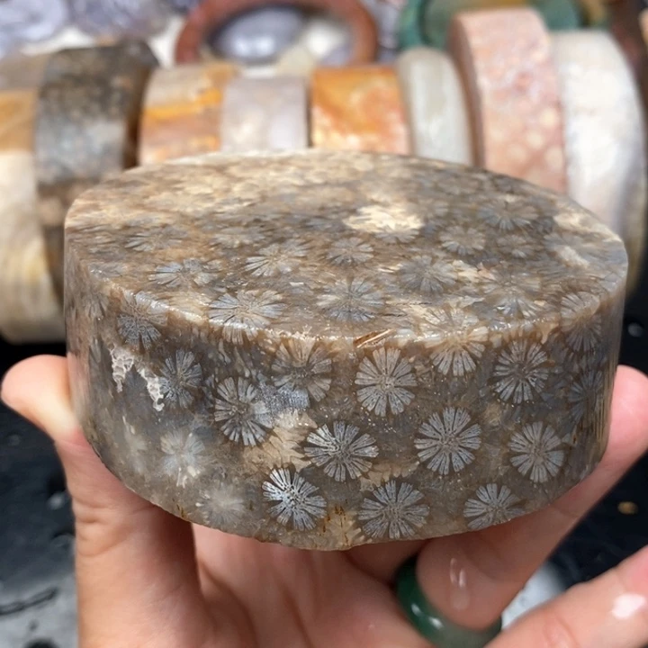 硅化珊瑚（珊瑚玉）手镯未镶嵌