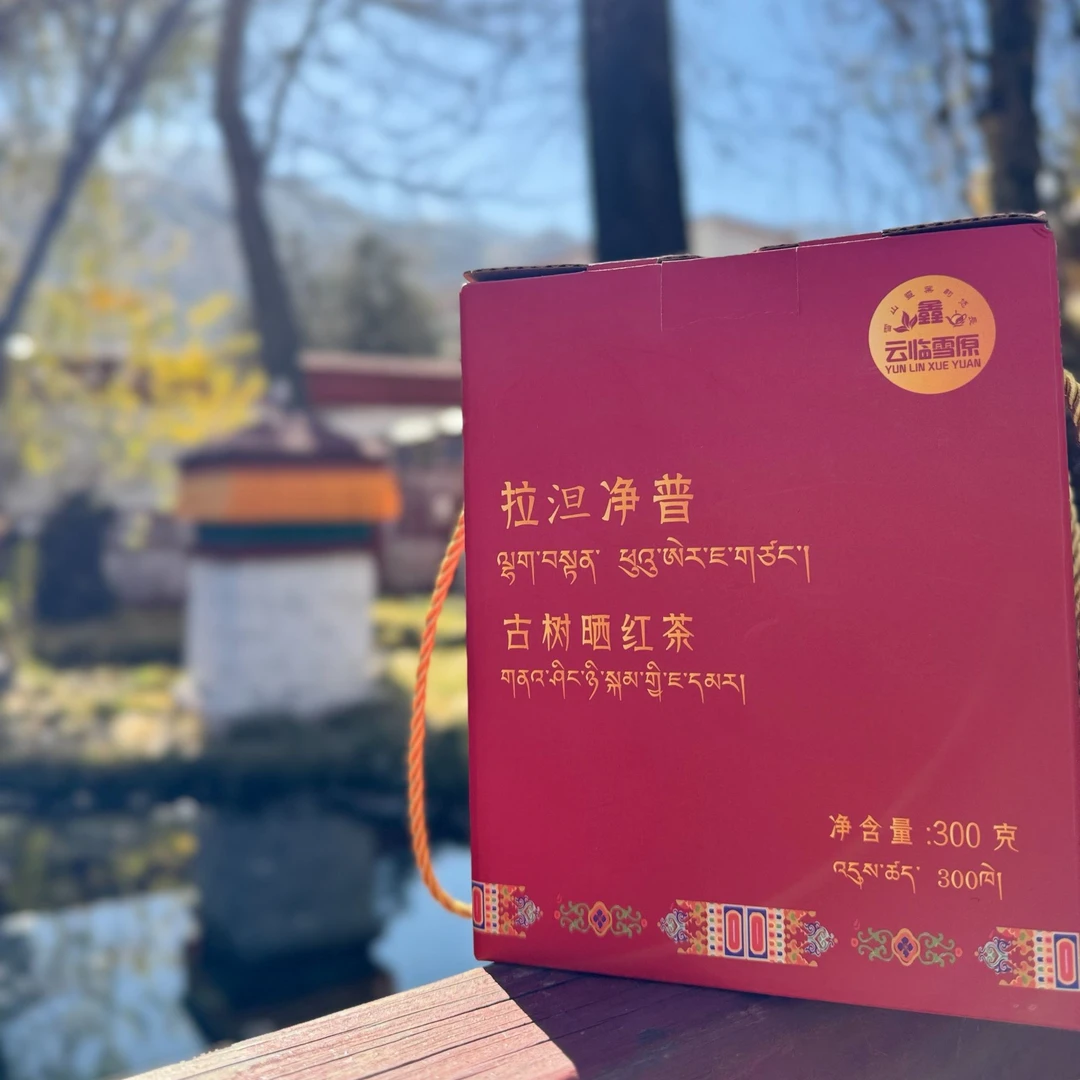 拉泹净普普洱古树晒红茶（拉萨发货邮政快递包邮）新茶清香浓郁醇厚