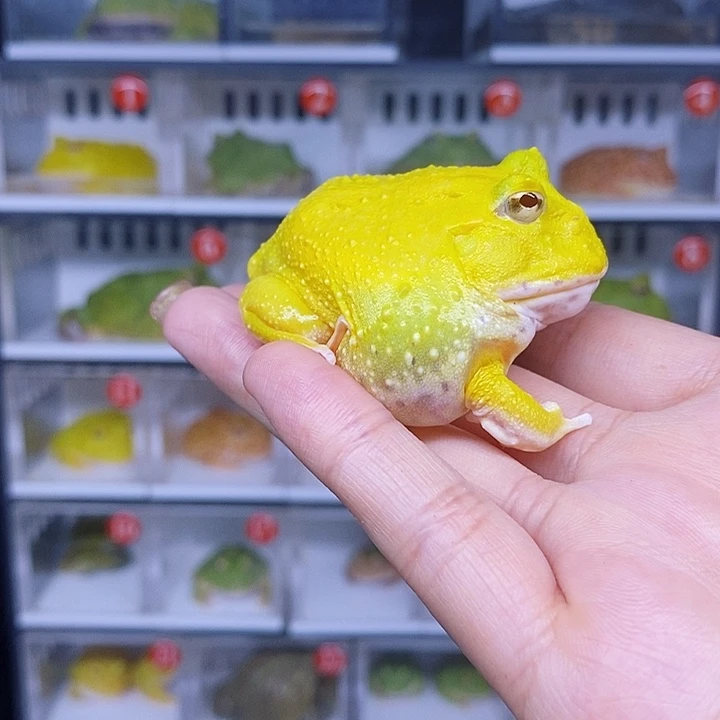 特价秒杀活动哇哇