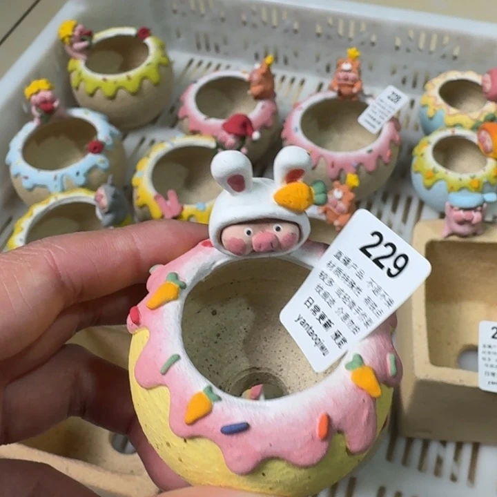 炏陶器物多肉花盆229