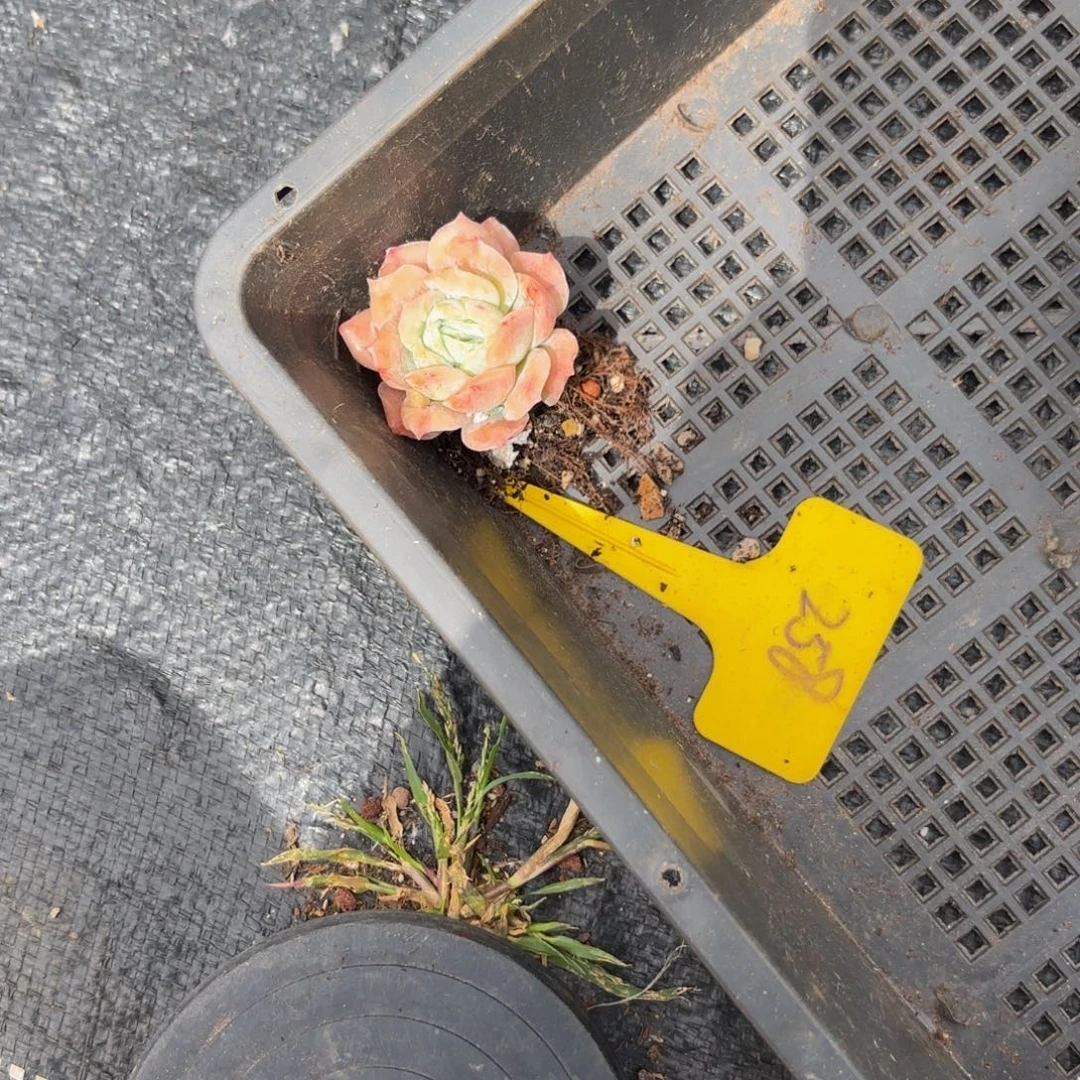 比***晴哈哈哈哈哈哈哈哈哈哈哈哈哈