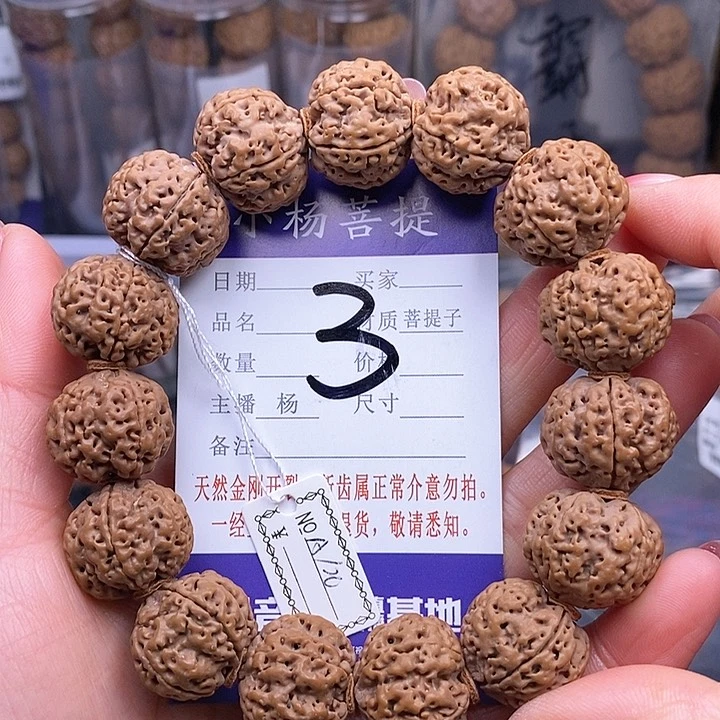 金刚菩提手串20铁骨双龙