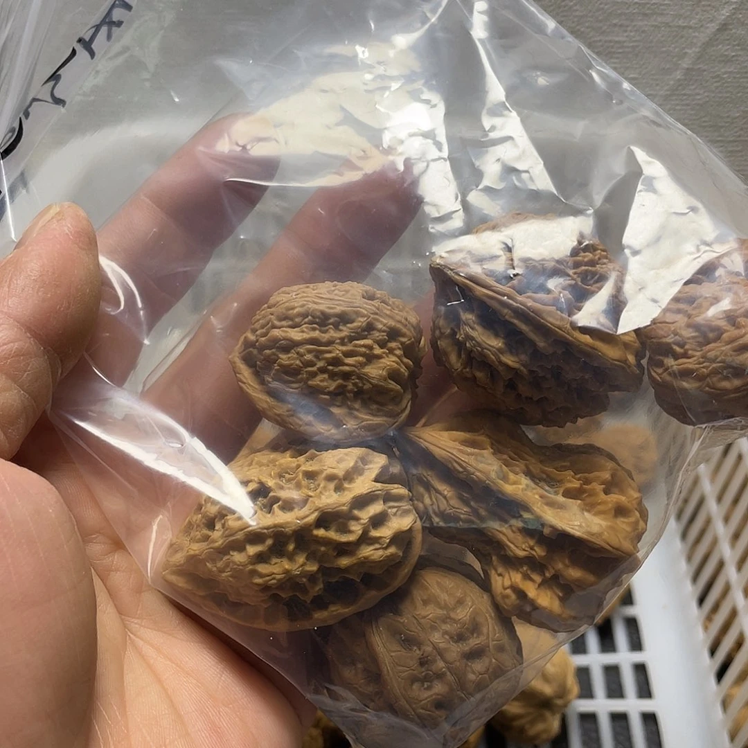 吹***风吊坠文玩核桃不退不换