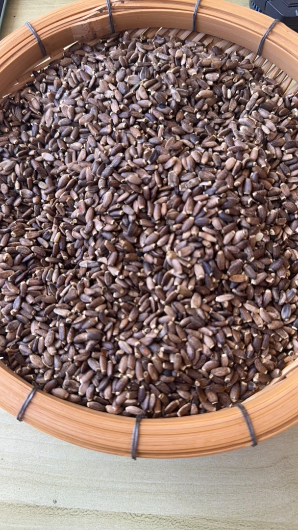 水-飞-蓟  云南土特产山货