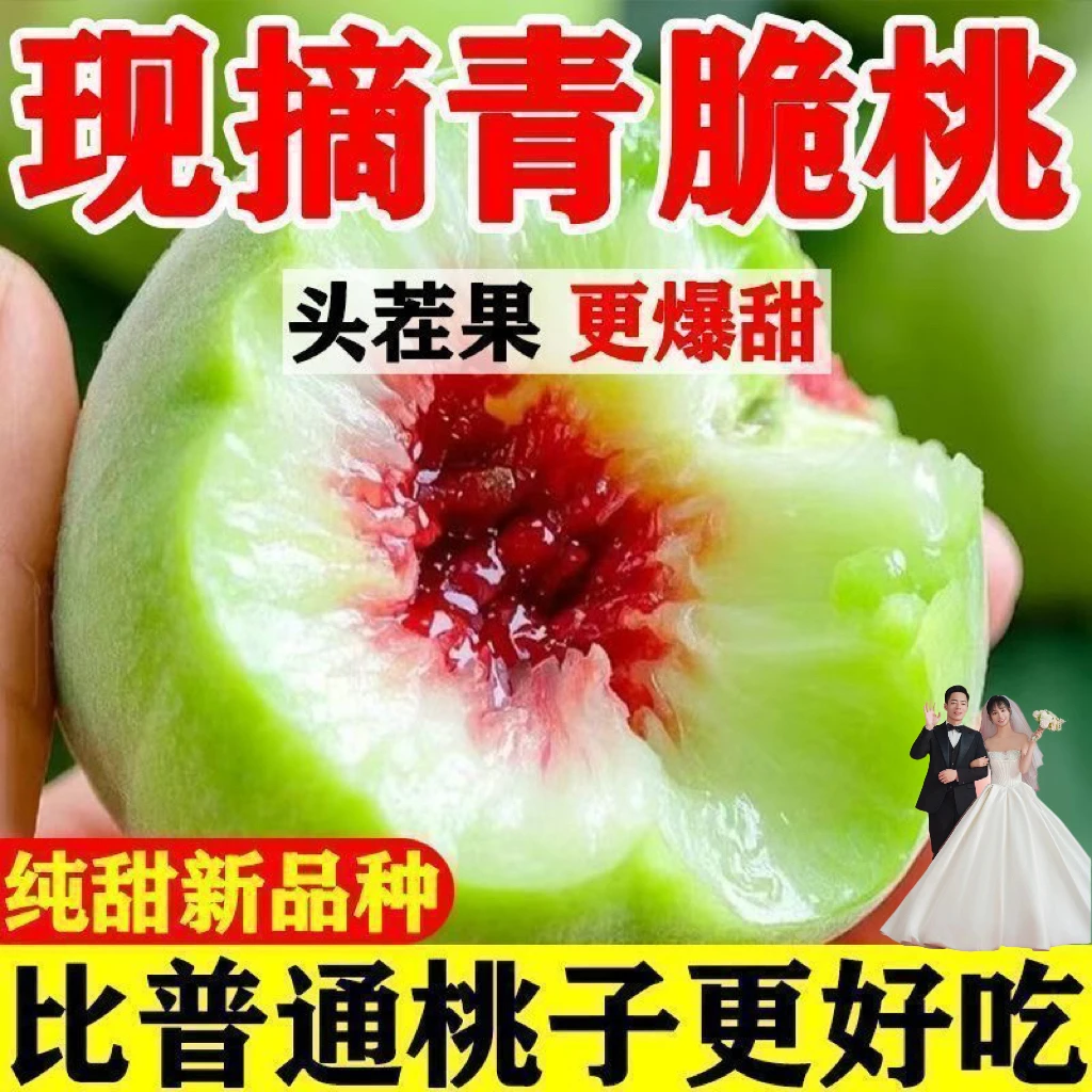 【大青翠蜜桃】正宗脆桃蜜桃毛桃酥脆甜口现摘现发新鲜时令9月桃