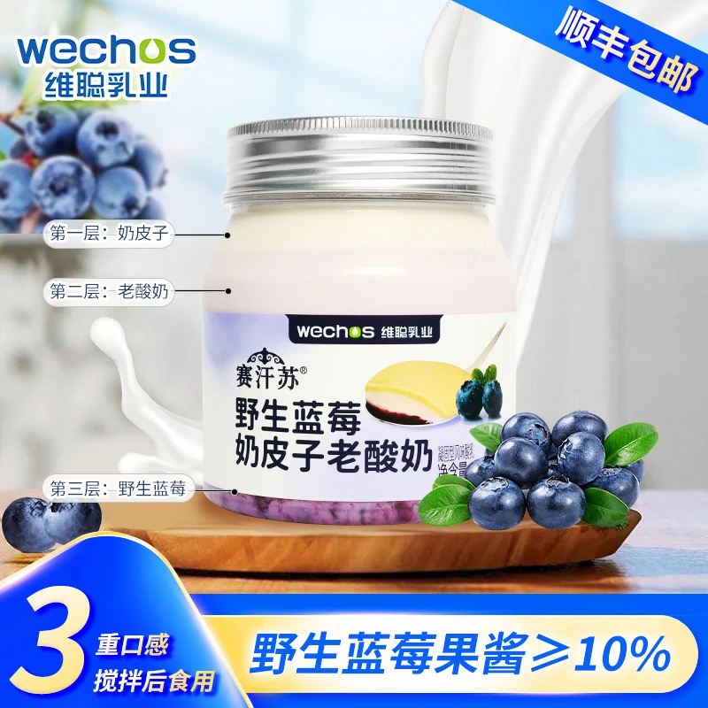 赛汗苏野生蓝莓奶皮子老酸奶好喝美味400g