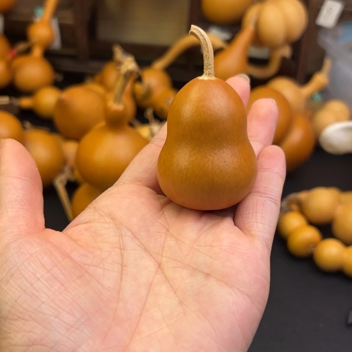 Z**能葫芦葫芦葫芦葫芦葫芦