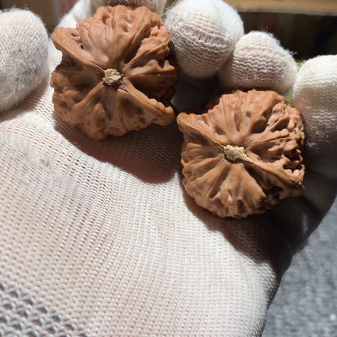 全品红皮宫灯核桃