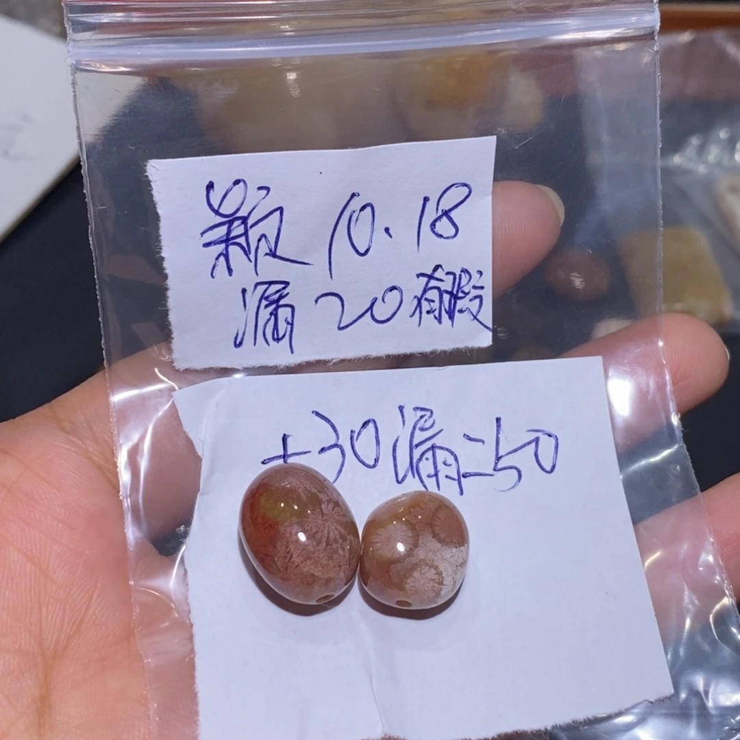 【闪购商品】未镶嵌珊瑚玉硅化玉颖*