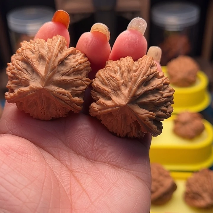 文玩核桃吊坠御龙粗筋三棱 全品