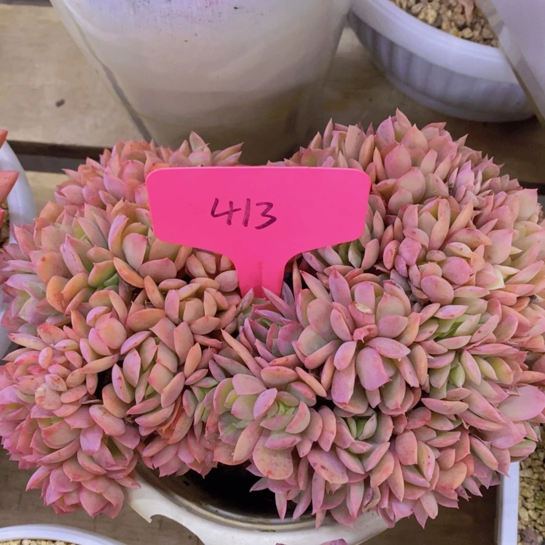 清货转场，一单包邮，满5宋1