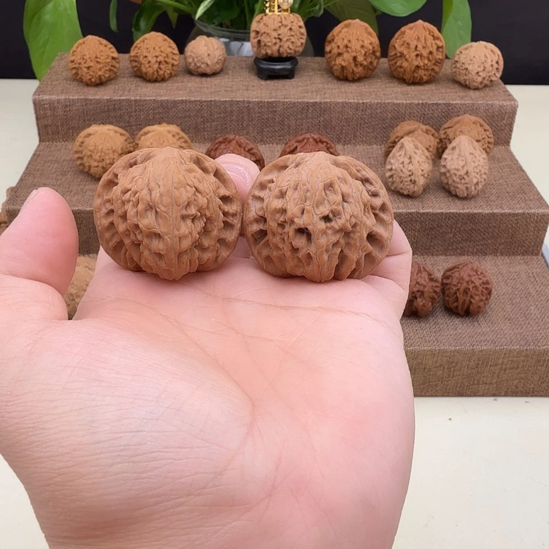 全品正磨盘40/38/34