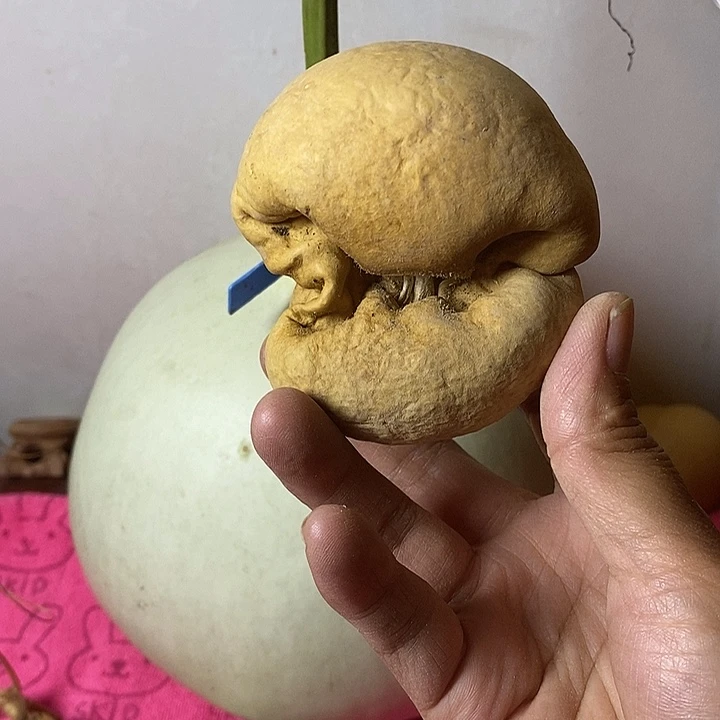 苦***华青皮手把件葫芦摆件