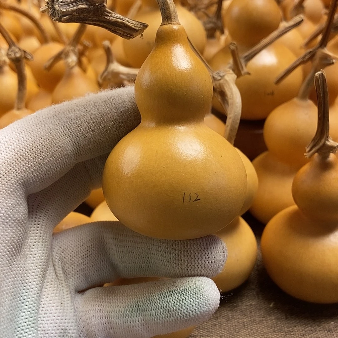 文玩葫芦  完美主义者 慎拍112