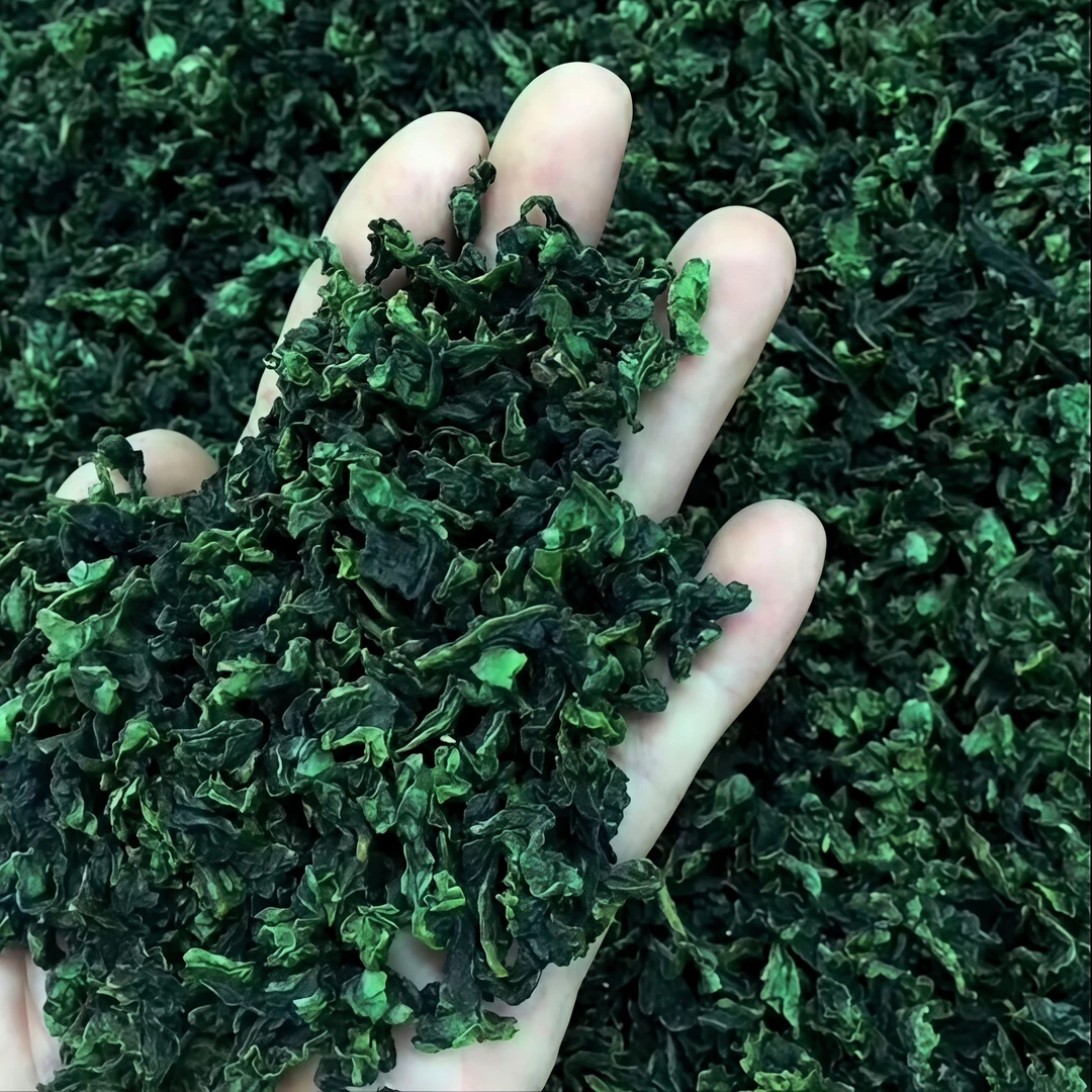 铁观音特级浓香型茶叶6A铁观音2025新茶上等特级铁观音秋茶好茶叶