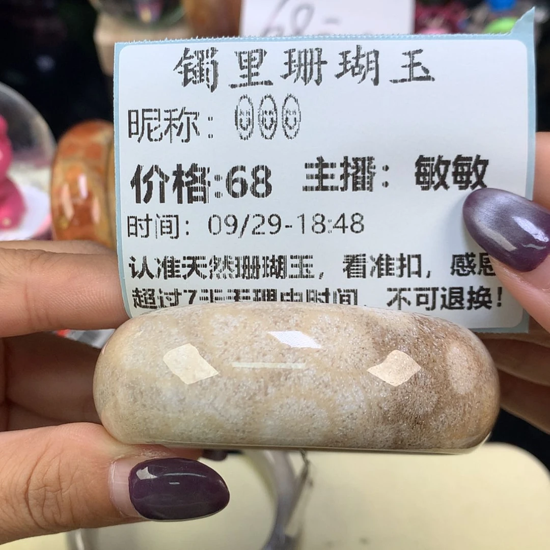 【闪购商品】颈饰未镶嵌硅化珊瑚（珊瑚玉）?*?