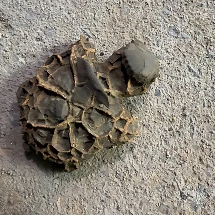 荒***石石材龟纹石最低哥