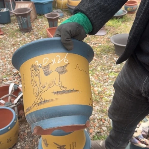 紫砂花盆紫砂花盆盆景盆栽