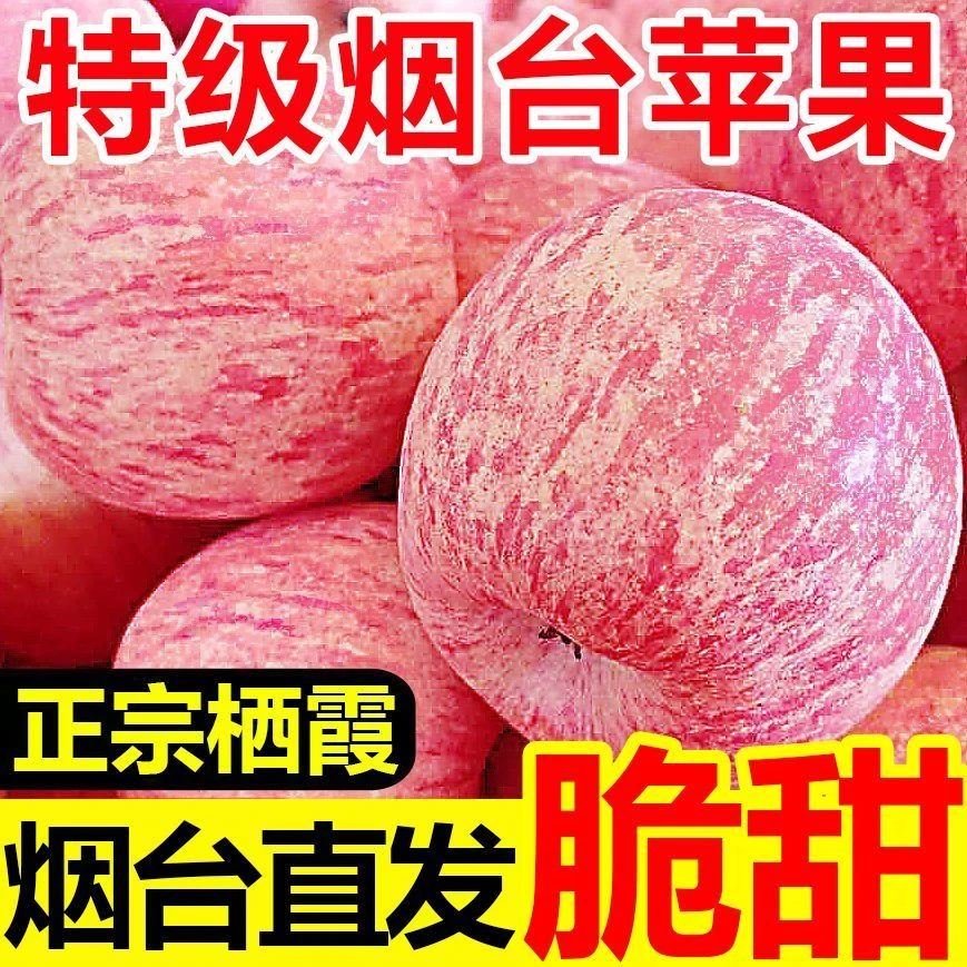【带箱5斤】2025年山东烟台栖霞红富士苹果脆甜应季水果 产地直发