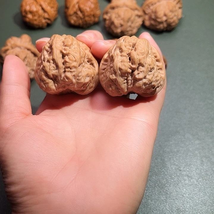 核桃涞水山地果蛤莫头41尺