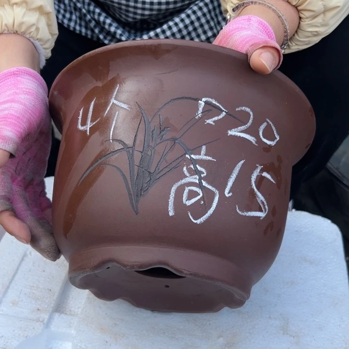 20平角金钟花盆4个花盆