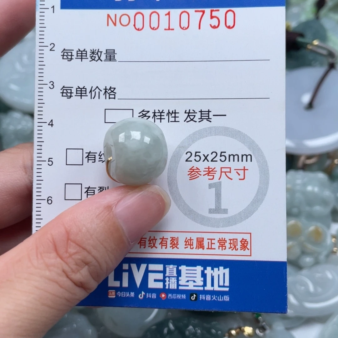 颈饰未镶嵌翡翠10750