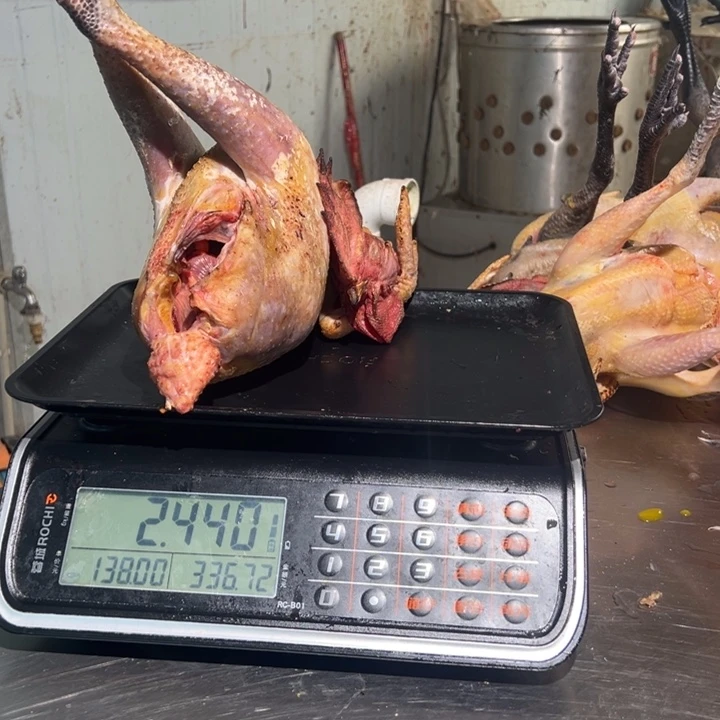 一号土鸡食用农产品回**水