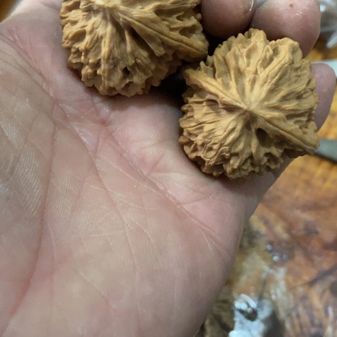 秦岭山脉是以北缘或