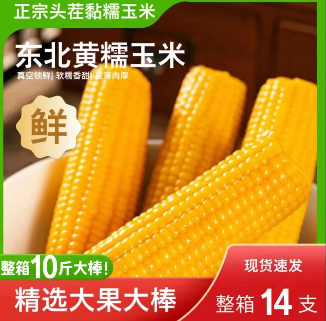【整箱9-10斤14棒】东北黄糯玉米软糯香甜（含试吃4根）