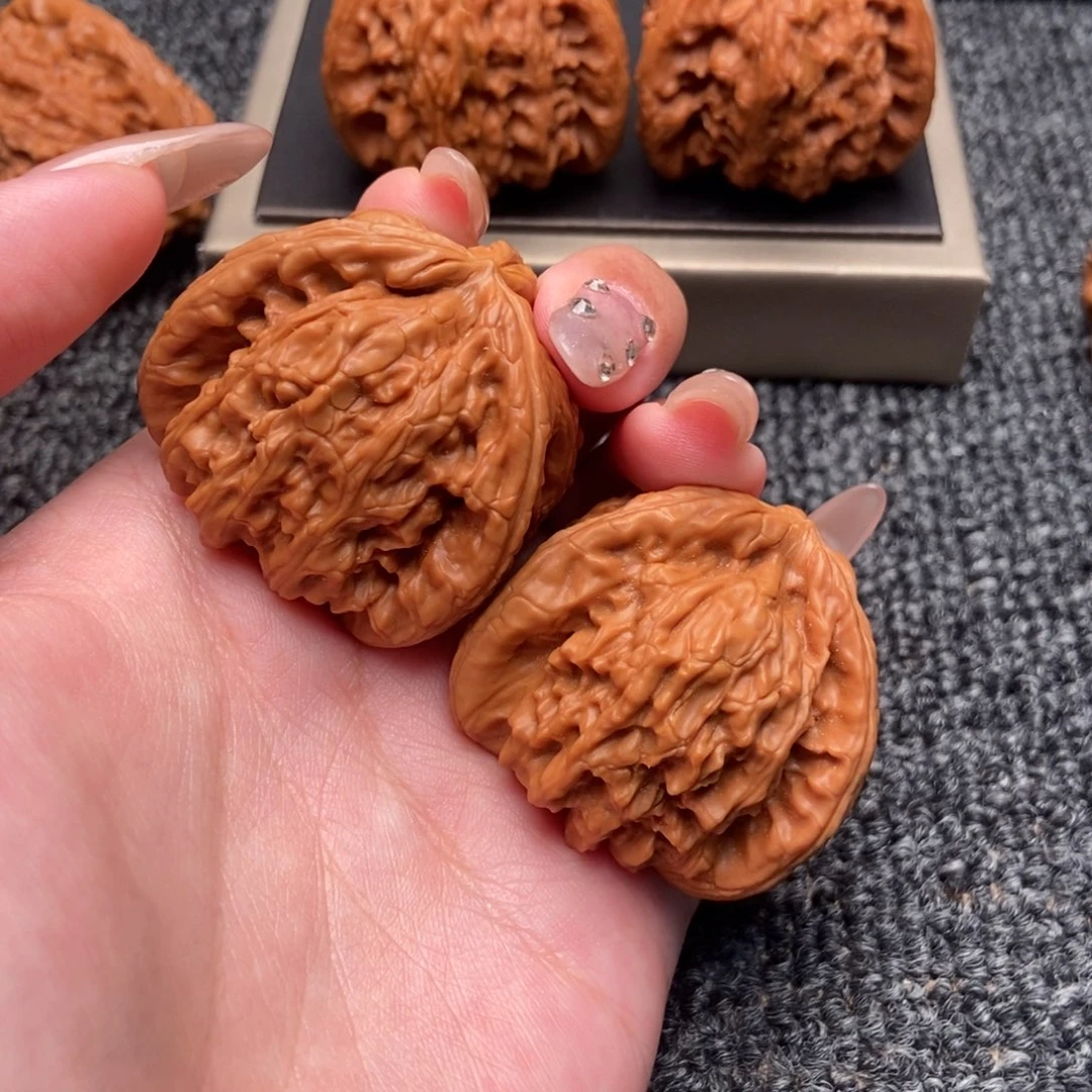 别***蠢木质类白狮子正奔