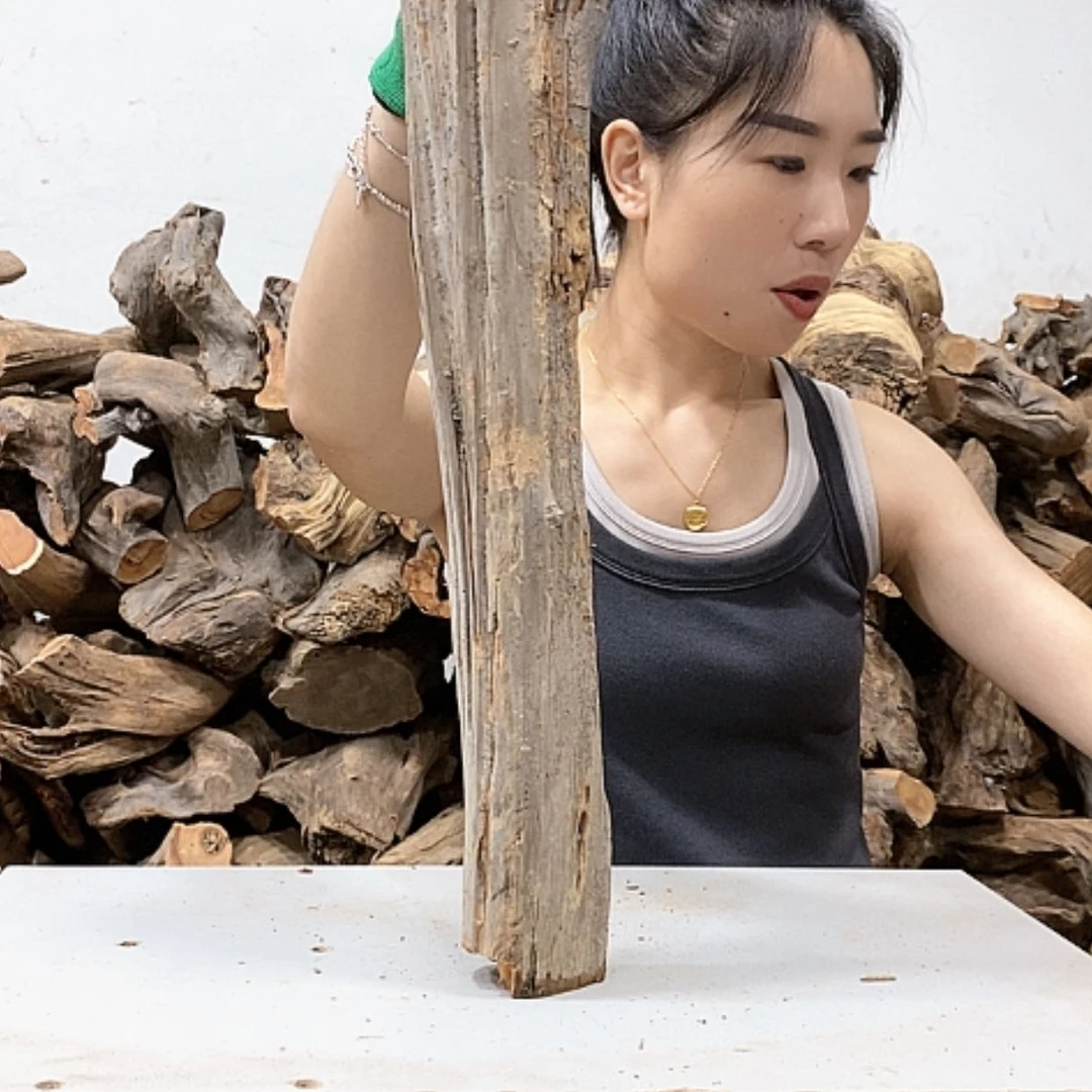 【闪购商品】柏木消***春我们都是好孩子