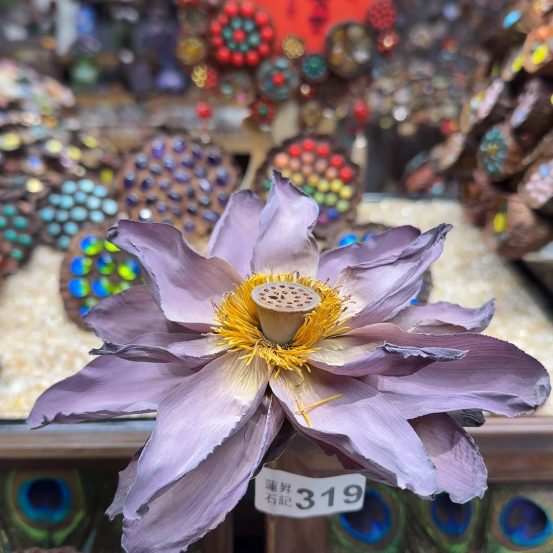 319荷花莲蓬摆件莲蓬