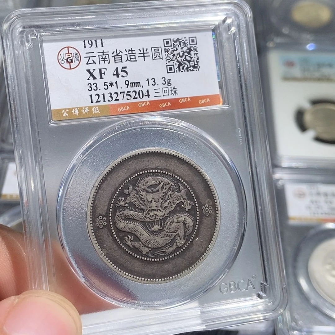 银大头云南高银半圆龙5204