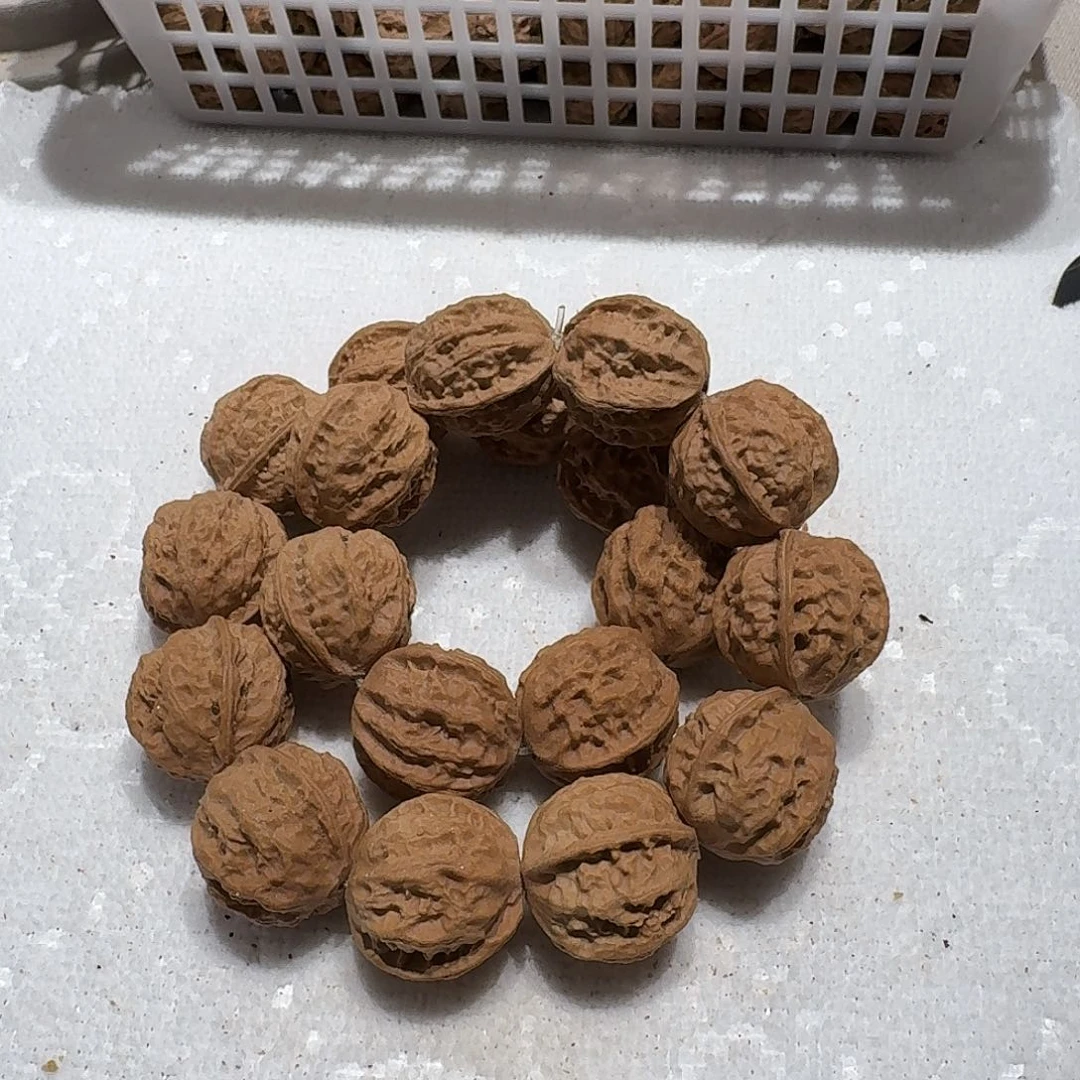 核桃手串/手链44号边25肚26高25