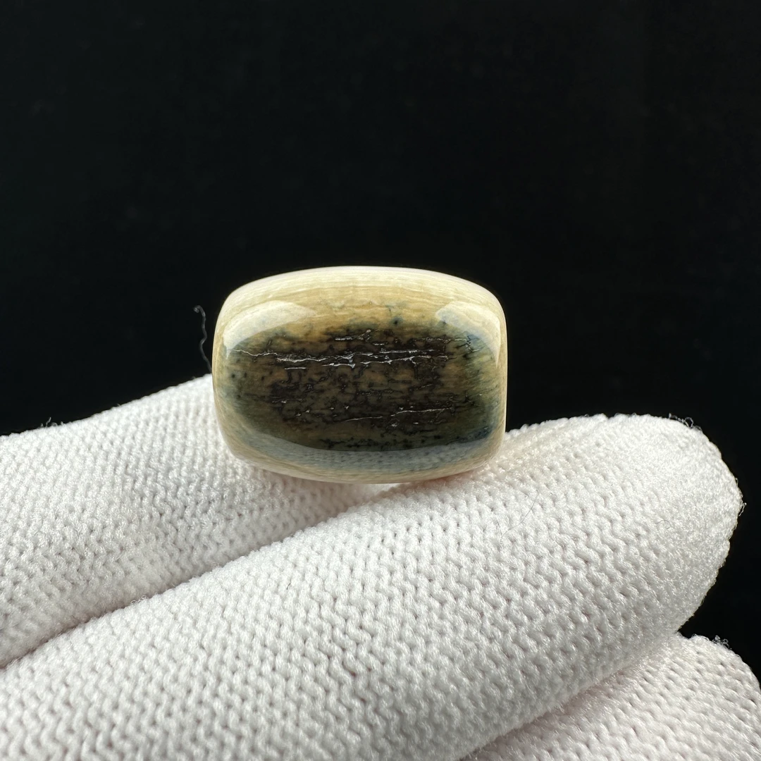 J6582天然猛犸牙 墩子 15*20mm 支持鉴定 假一罚四