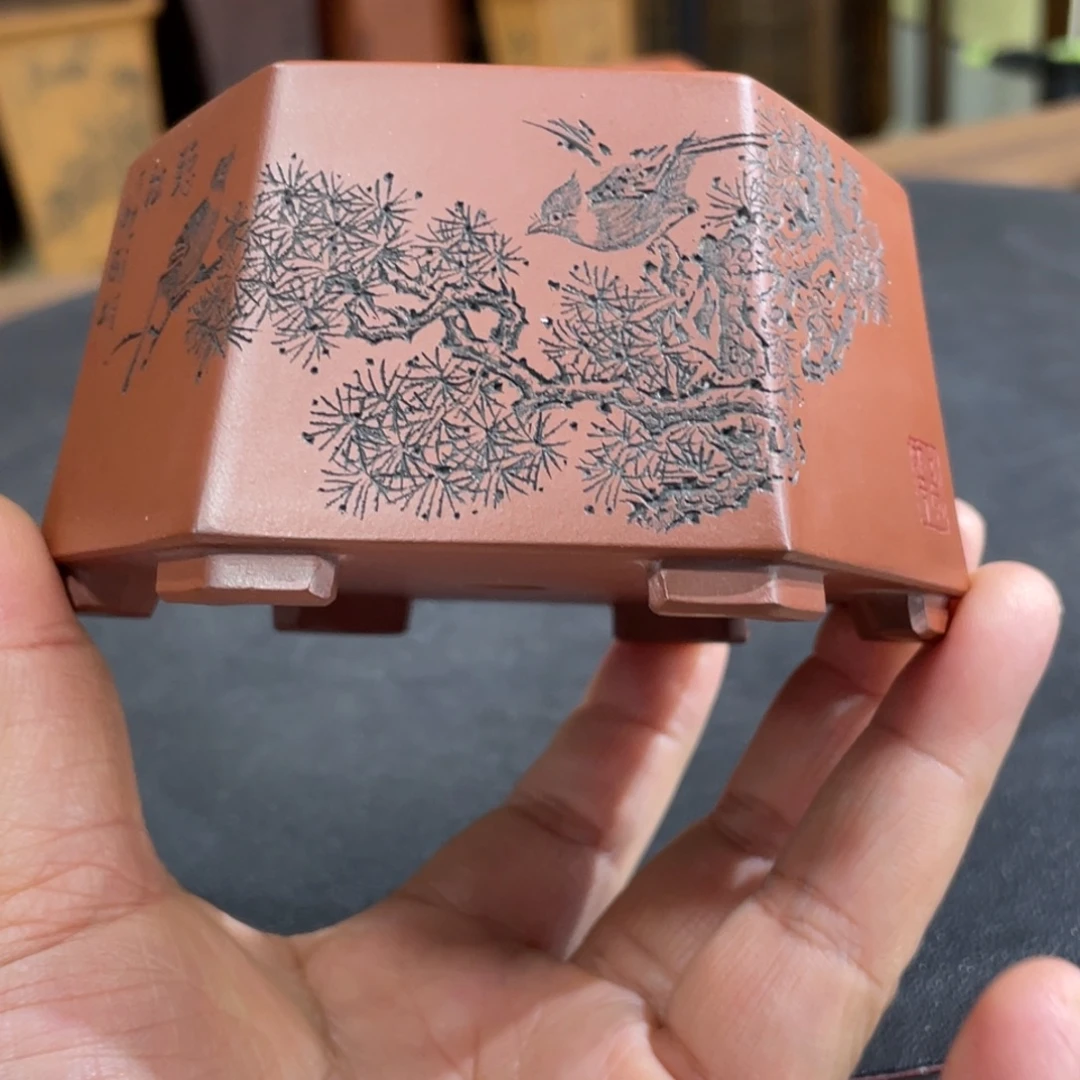 花盆紫砂紫砂花盆在这里